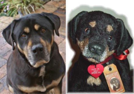 Mohair Teddy Bear, Rottweiler Handmade Teddy Bears, Mohair Teddy Bears, Artist Teddy Bears by Award Winning Artist Denise Purrington - Zack. Jr.